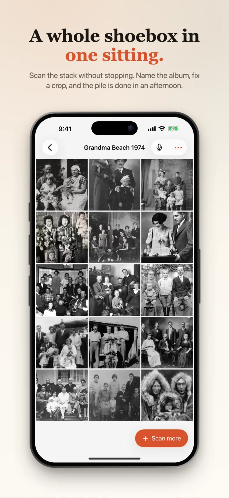A grid of scanned prints from one sitting, in a named album